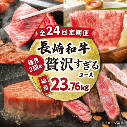 【24回定期便】長崎和牛毎月2回の贅沢すぎるコース 焼肉 鍋 ハンバーグ ステーキ　総量約23.76kg 大村市 おおむら夢ファームシュシュ[ACAA105]