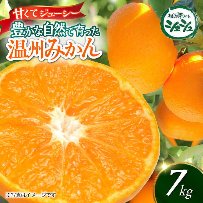 【2025年11月上旬より順次発送】みかん 7kg / みかん 果実 柑橘 / 大村市 / おおむら夢ファームシュシュ[ACAA378]