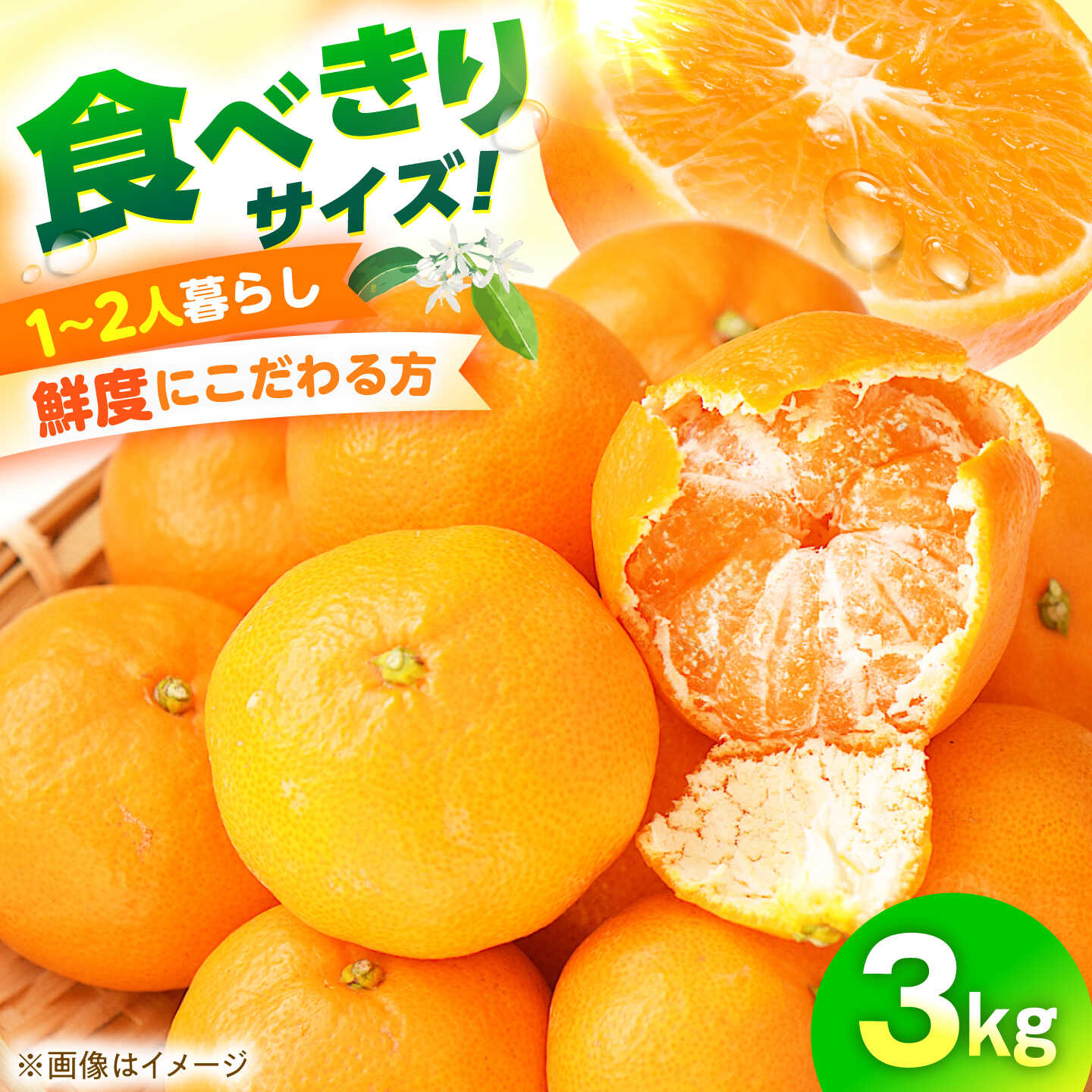 みかん 食べきり量3kg 温州みかん/ みかん ミカン 蜜柑 甘い フルーツ 果物 みかん ミカン 蜜柑 フルーツ 果物 みかん くだもの柑橘 旬 果実 甘味 酸味 甘い mikan 産地直送 農家直送 数量限定 国産 ミカン / 大村市 おおむら夢ファームシュシュ[ACAA499]
