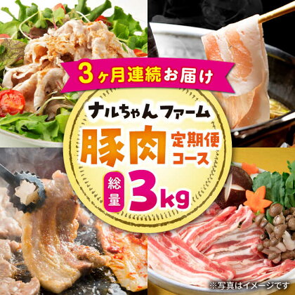 【3回定期便】ナルちゃんファーム豚肉コース　総量3kg / 国産 豚肉 豚 焼肉 しゃぶしゃぶ / 大村市 / おおむら夢ファームシュシュ[ACAA058]