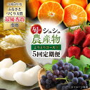 2位! 口コミ数「0件」評価「0」【5回定期便】シュシュの農産物よりどりコース1 / いちご 苺 ぶどう 梨 なし お米 / 大村市 / おおむら夢ファームシュシュ[ACAA･･･ 