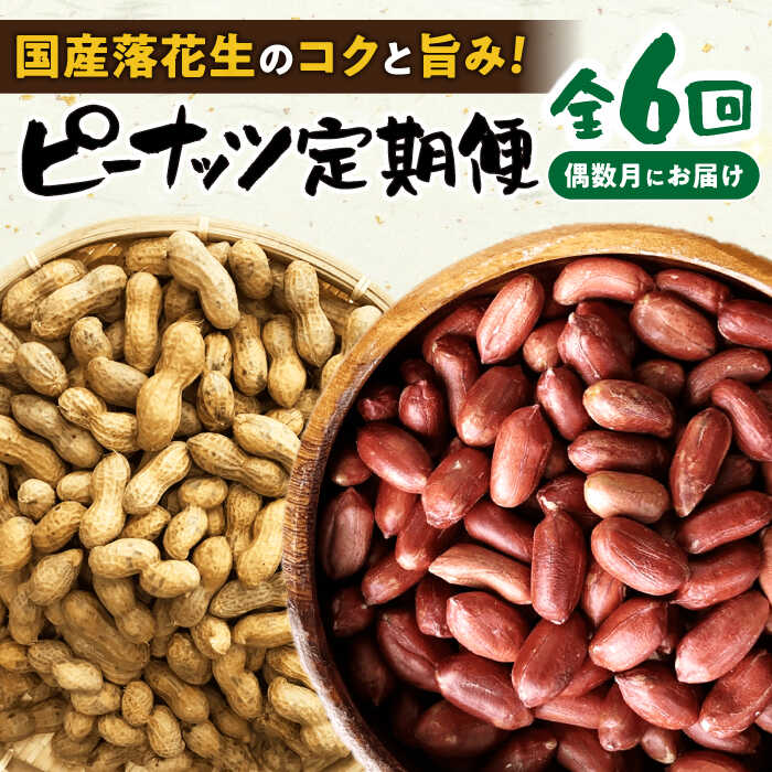 40位! 口コミ数「0件」評価「0」【偶数月(全6回)お届け】 ピーナツ 定期便 1 / ピーナッツ ナッツ おつまみ おやつ / 大村市 / 浦川豆店[ACAB111]