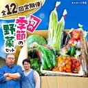 22位! 口コミ数「0件」評価「0」【全12回定期便】季節の野菜 定期便 詰め合わせ セット 野菜 果物 / 季節 旬 春野菜 夏野菜 秋野菜 / 産直松吉[ACZC003]