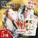 27位! 口コミ数「0件」評価「0」磯の味セット 小 干物 合計5枚 鯛茶漬け 2食 一夜干し / お茶漬け 鯛 いわし 明太子 おつまみ / 大村市 / 株式会社ナガスイ[A･･･ 