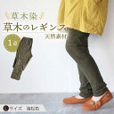 【ふるさと納税】草木のレギンス 海松色 Lサイズ / コットン スパッツ オーガニック ファッション / 大村市 / いすといすと〜天然染料染物店〜ISTIST...
