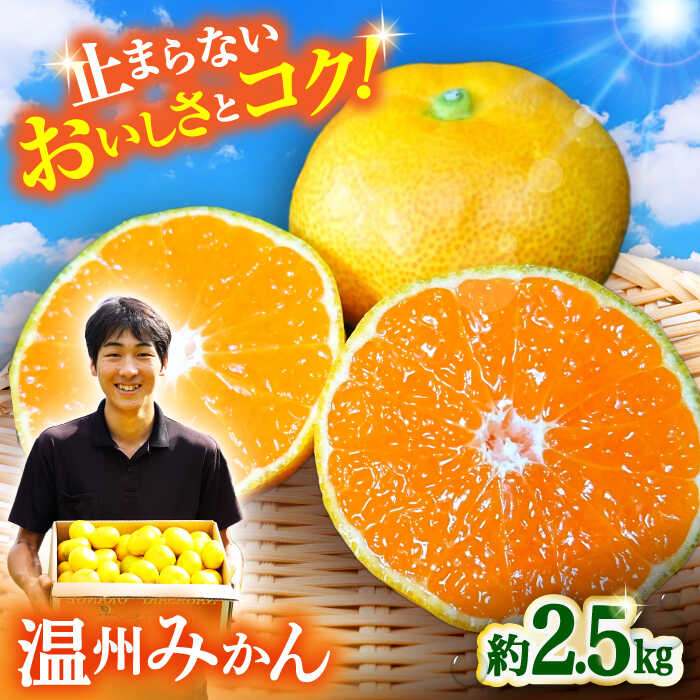 1位! 口コミ数「3件」評価「5」【期間限定】長崎県産 温州みかん 約2.5kg / みかん 柑橘 2.5kg フルーツ 果物 / 大村市 / 山光農園[ACAI001]