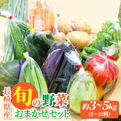 大村産とれたてお野菜おまかせセット(8～10種) / 季節 旬 春野菜 夏野菜 秋野菜 / 大村市 / かとりストアー[ACAN015]