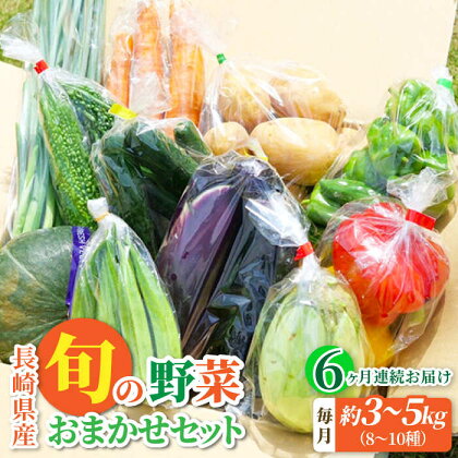 【全6回定期便】大村産とれたてお野菜おまかせセット(8～10種) / 季節 旬 春野菜 夏野菜 秋野菜 / 大村市 / かとりストアー[ACAN059]