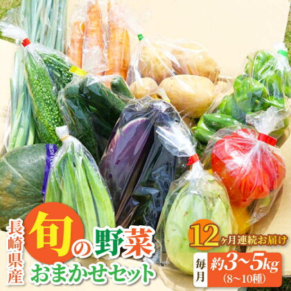 【全12回定期便】大村産とれたてお野菜おまかせセット(8～10種) / 季節 旬 春野菜 夏野菜 秋野菜 / 大村市 / かとりストアー[ACAN060]