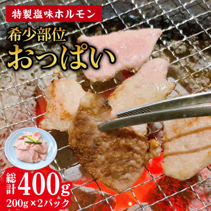 【ふるさと納税】【希少部位おっぱい】特製塩味ホルモン (200g × 2パック) 総計約400g / ホルモン 塩ホルモン 胃袋 焼肉 / 大村市 / 塩ホルモンろくめい[ACAO003]