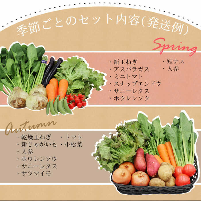 【ふるさと納税】旬の定番野菜セット 使いやすい野菜を厳選 7～8品目 詰め合わせ / 季節 旬 春野菜 夏野菜 秋野菜 / 大村市 / 古瀬青果[ACBD002]