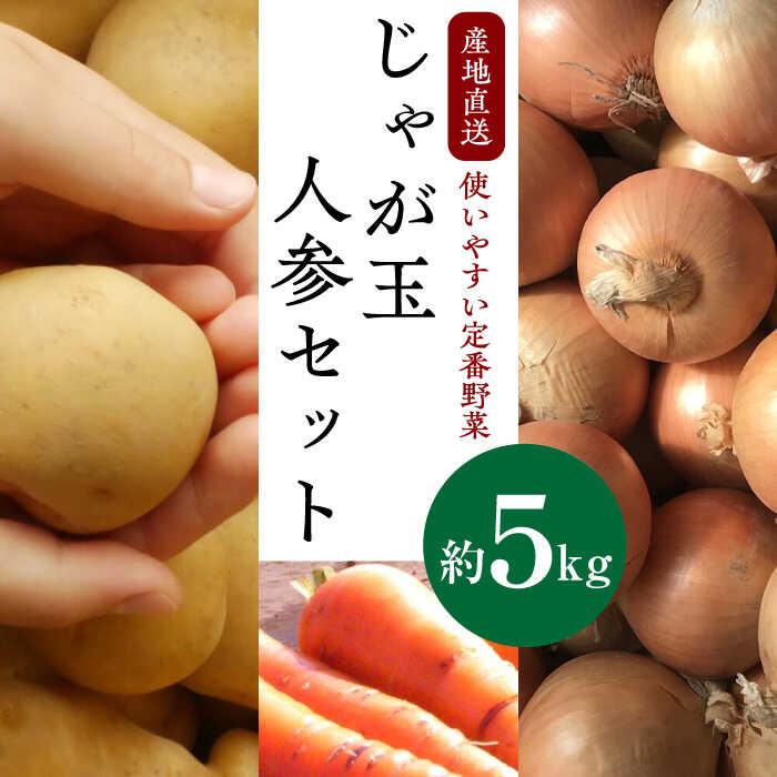 【ふるさと納税】じゃが玉人参セット 約5kg じゃがいも・玉ねぎ・人参の定番野菜 3品目の野菜 詰め合わせ 大村市 古瀬青果[ACBD006]