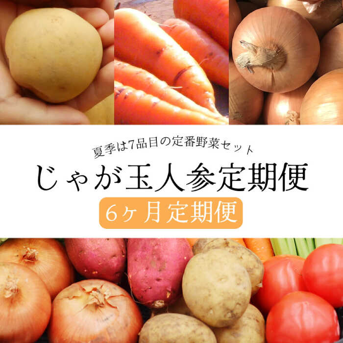 56位! 口コミ数「0件」評価「0」【定期便6回コース】 じゃが玉人参セット 約5kg じゃがいも・玉ねぎ・人参の定番野菜 3品目の野菜詰め合わせ 夏季は7～8品目 野菜 セッ･･･ 