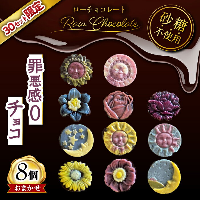 【ふるさと納税】栄養たっぷりローチョコレート8個入り / ローチョコレート チョコ チョコレート ちょこれーと ローカカオ カカオ 砂糖不使用 カロリーオフ 低...