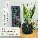 長崎県大村市の画像2