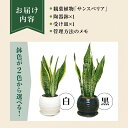 長崎県大村市の画像3