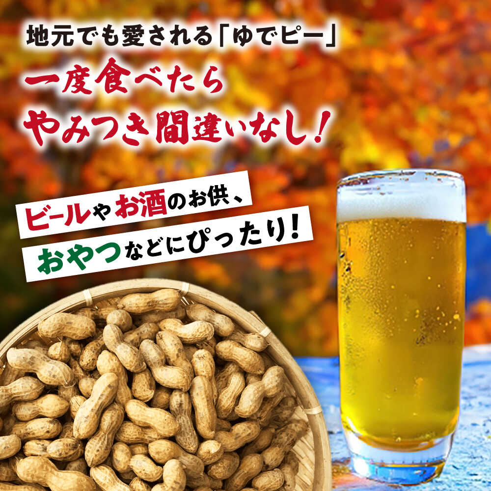 長崎県大村市の画像3