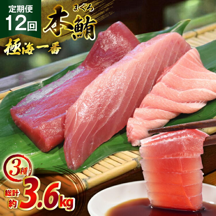 【ふるさと納税】マグロ 切り身 極海一番 3種 セット 300g 12回 定期便 総計3.6kg 詰め合わせ 食べ比べ [囲炉裏料理エビス亭 長崎県 平戸市 h...
