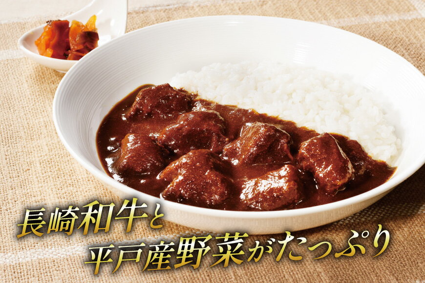 【ふるさと納税】カレー セット 平戸 ビーフ カレー 12食 セット 中辛 12回 定期便 [カレー工房NVfoods 長崎県 平戸市 hr42bgy400044] カレー スパイス レトルト セット