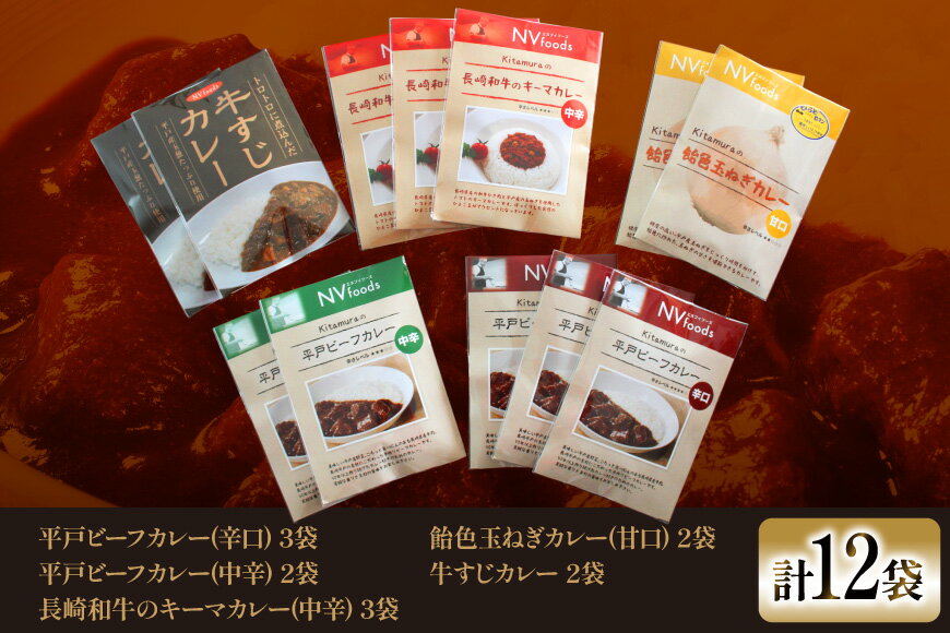 【ふるさと納税】カレー セット 平戸 ビーフ カレー 12食 セット 中辛 12回 定期便 [カレー工房NVfoods 長崎県 平戸市 hr42bgy400056] カレー スパイス レトルト セット 詰め合わせ 食べ比べ