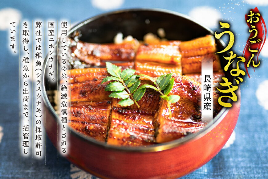 【ふるさと納税】うなぎ 国産 蒲焼 長崎県産 おうごんうなぎ 約500g 3尾〜4尾 6回 定期便 総計 約3kg [松永水産 長崎県 平戸市 hr42bgy400109] 鰻 うな重 うな丼 ひつまぶし 蒲焼き かばやき タレ付き 養殖 国内産 冷凍 unagi