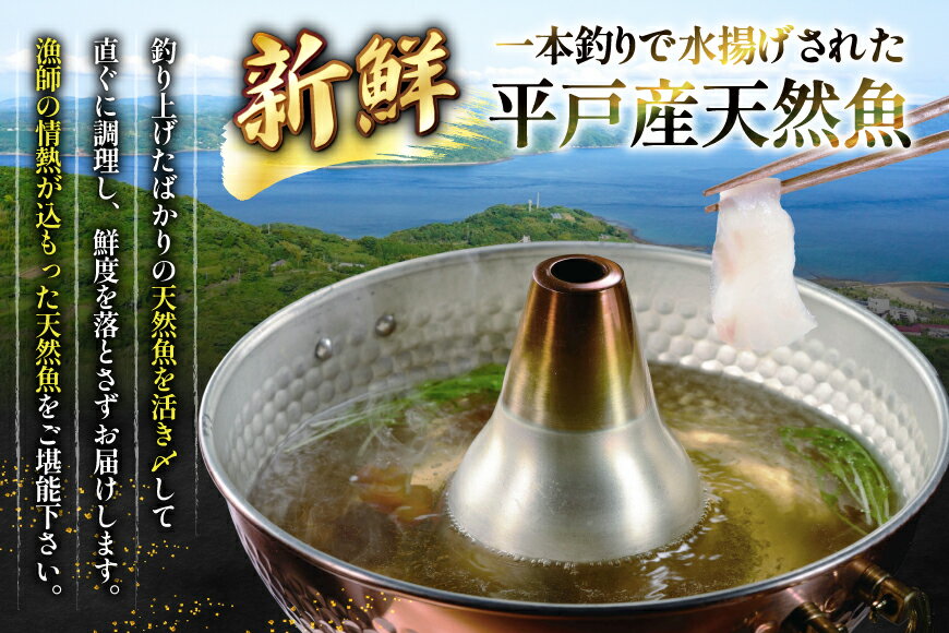 【ふるさと納税】魚 しゃぶしゃぶ 平戸産 天然魚 しゃぶしゃぶセット 安心の地元 野菜付 2〜3人前 [ひらど新鮮市場 長崎県 平戸市 hr42bgy400138] 海鮮鍋 鍋セット 高級 魚 天然 ブリタイ ヒラマサ ヒラス ヒラメ 鍋 セット
