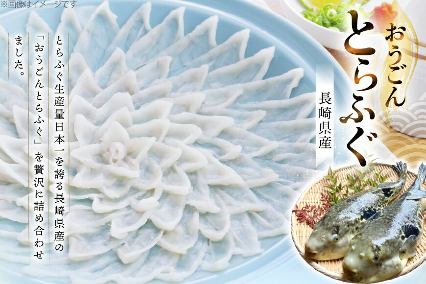 【ふるさと納税】ふぐ 刺身 ふぐ鍋セット 活〆 おうごんとらふぐ プレミアム セット 4人前 12回 定期便 [松永水産 長崎県 平戸市 hr42bgy400152] ふぐ刺し とらふぐ フグ 河豚 てっさ てっちり ふぐ鍋 湯引き 魚介 さかな お刺身 刺身用 さしみ 冷凍 海鮮