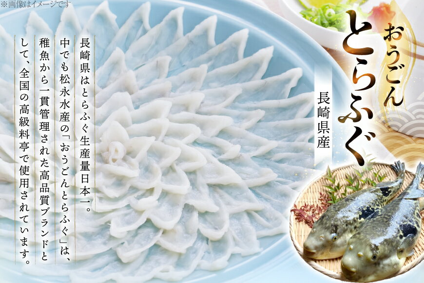 【ふるさと納税】ふぐ 刺身 セット 活〆 おうごんとらふぐ 刺身セット 4人前 12回 定期便 [松永水産 長崎県 平戸市 hr42bgy400166] ふぐ刺し とらふぐ フグ 河豚 てっさ 魚介 さかな お刺身 刺身用 さしみ 冷凍 湯引き 海鮮 切り身