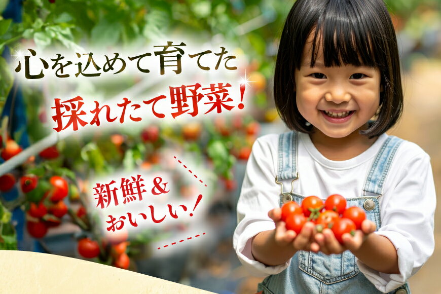 【ふるさと納税】野菜 果物 セット 安心の地元野菜と果物のお任せセット [ひらど新鮮市場 長崎県 平戸市 hr42bgy400171] フルーツ 野菜セット 果物セット キャベツ、アスパラガス 胡瓜 ナス 大根 かぶ ミニトマト 玉ねぎ いちご メロン ミニトマト 白菜 れんこん みかん