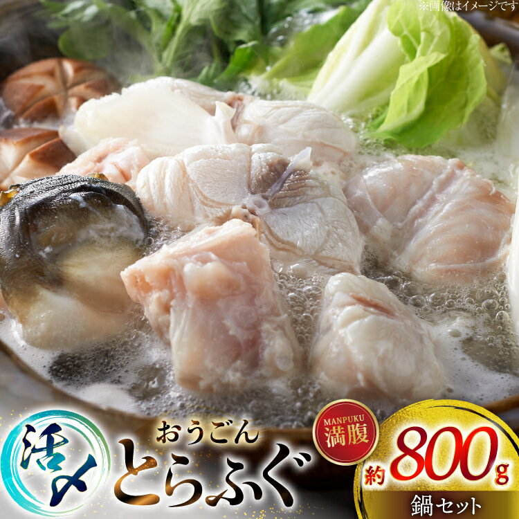 【ふるさと納税】ふぐ 鍋 セット 活〆 おうごんとらふぐ 満腹 鍋セット 約800g [松永水産 長崎県 平戸..