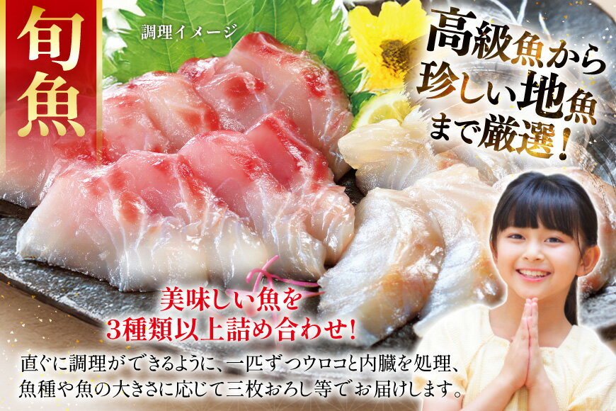 【ふるさと納税】魚 海鮮 地魚 詰合せ4〜5種類 6回 定期便 [ひらど新鮮市場 長崎県 平戸市 hr42bgy400191] さかな 詰め合わせ 鮮魚