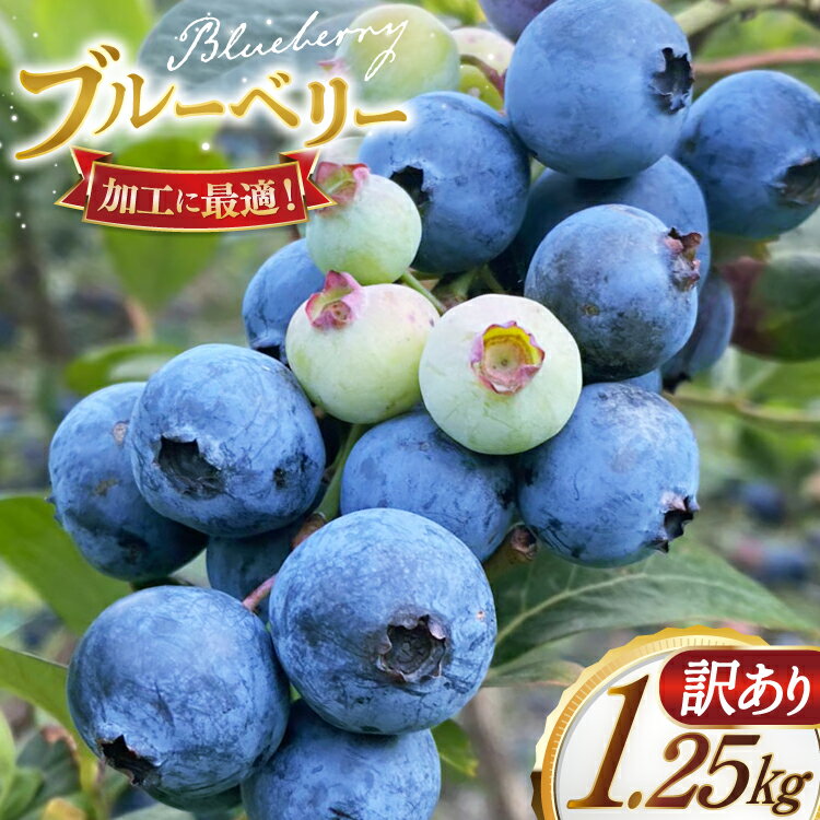 【ふるさと納税】ブルーベリー 訳あり 冷凍 250g 5パック 計 1.25kg [いきつきブルーベリー園 moon berry's kitchen 長崎県 平...