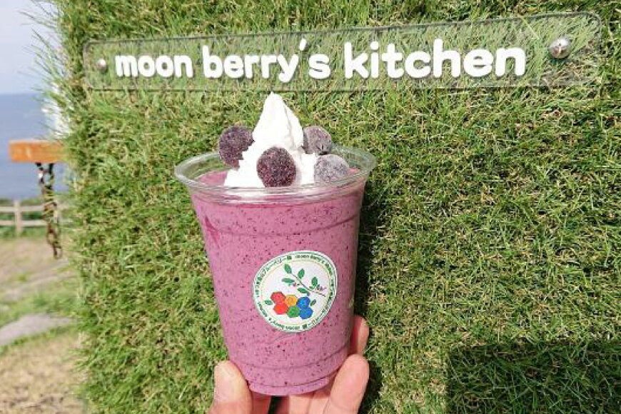 【ふるさと納税】ブルーベリー 訳あり 冷凍 250g 5パック 計 1.25kg [いきつきブルーベリー園 moon berrys kitchen 長崎県 平戸市 hr42bhb500001] 完熟 デザート スイーツ スムージー 小分け 訳アリ