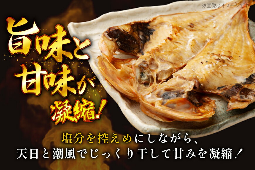 【ふるさと納税】 おつまみ イカ 旬魚 平戸 干物 16種 詰め合せ [森崎水産 長崎県 平戸市 hr42bgy410180] いか セット 詰合せ 干物 干物セット 一夜干し いかめし 冷凍 国産 ひもの 魚