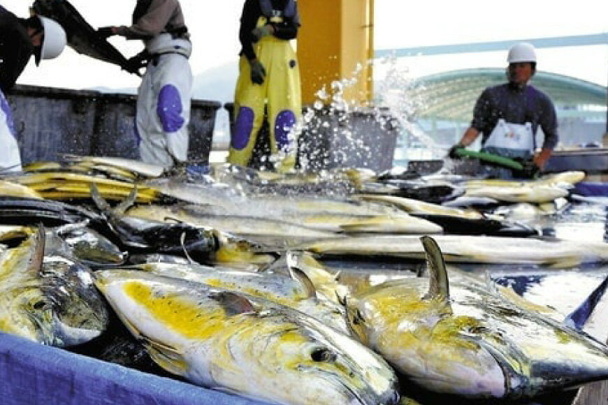 【ふるさと納税】かまぼこ 詰め合わせ 生月の特選 蒲鉾 7種 セット [舘浦漁業 長崎県 平戸市 hr42bgy420225] すり身 練り物 カマボコ 魚介 揚げかまぼこ 揚げ