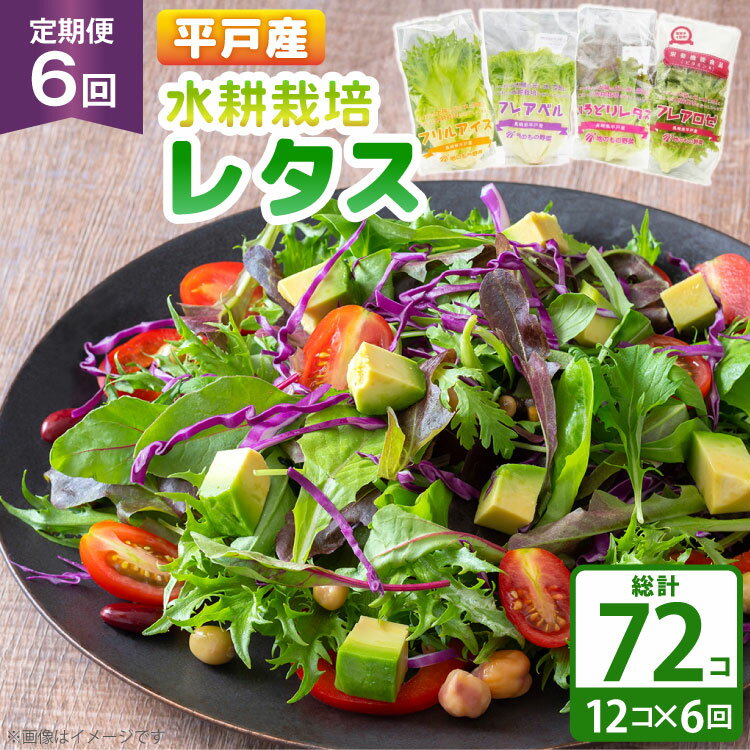 【ふるさと納税】レタス 水耕栽培 4種 12袋 セット 6回 定期便 総計72袋 食べ比べ 詰め合わせ [モロフジファーム 長崎県 平戸市 hr42bgy420...