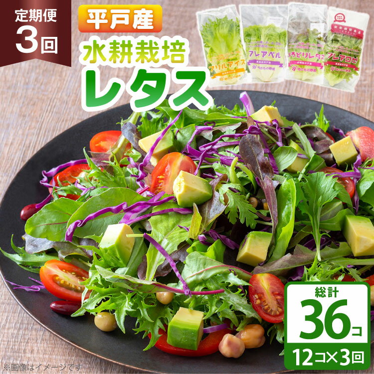 【ふるさと納税】レタス 水耕栽培 4種 12袋 セット 3回 定期便 総計36袋 食べ比べ 詰め合わせ [モロフジファーム 長崎県 平戸市 hr42bgy420...