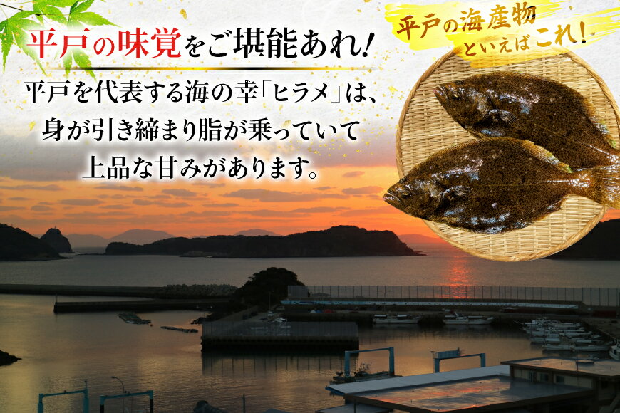 【ふるさと納税】魚 刺身 ヒラメ 刺盛 80g 12回 定期便 総計 約960g [平戸さくら水産 長崎県 平戸市 hr42bgy420325] さかな ひらめ 刺し盛 さしみ