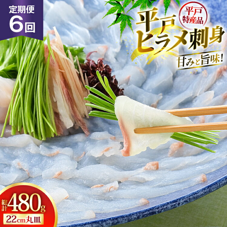 【ふるさと納税】魚 刺身 ヒラメ 刺盛 80g 6回 定期便 総計 約480g [平戸さくら水産 長崎県 平戸市 hr4..
