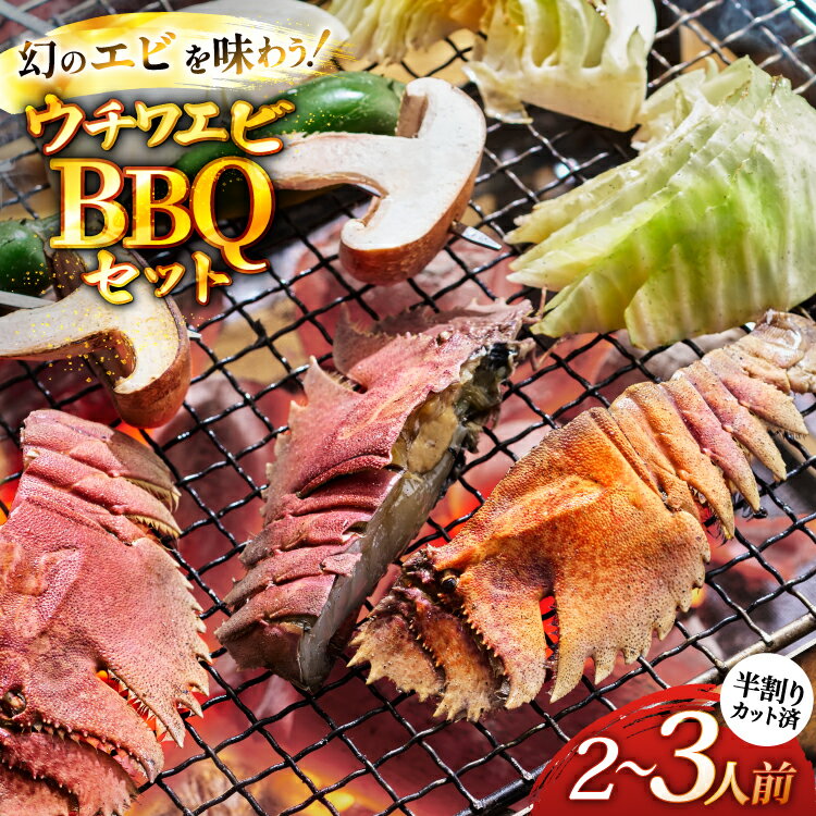 バーベキュー 海鮮 ウチワエビ BBQ セット 安心の地元 野菜付 2〜3人前 [ひらど新鮮市場 長崎県 平戸市 hr42bgy400174] バーベキューセット BBQセット 魚介 エビ 海老 えび 海鮮バーベキュー 海鮮BBQ