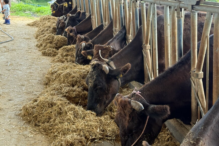 長崎県平戸市の画像2