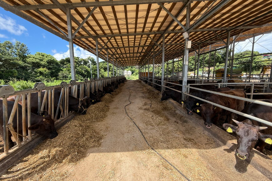 長崎県平戸市の画像3