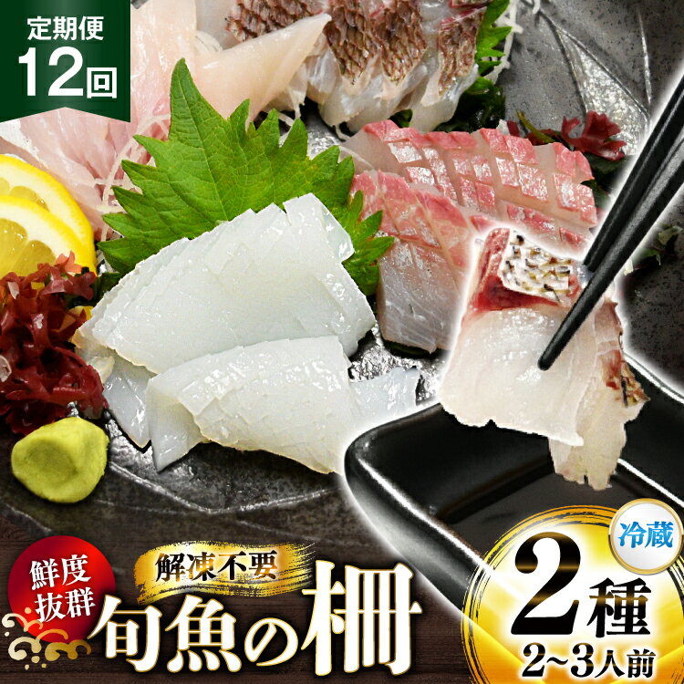 【ふるさと納税】 刺身 鮮魚 旬魚 の柵2種 セット （刺身1種& イカ 1種）（2〜3人前 12回 定期便 [舘浦..