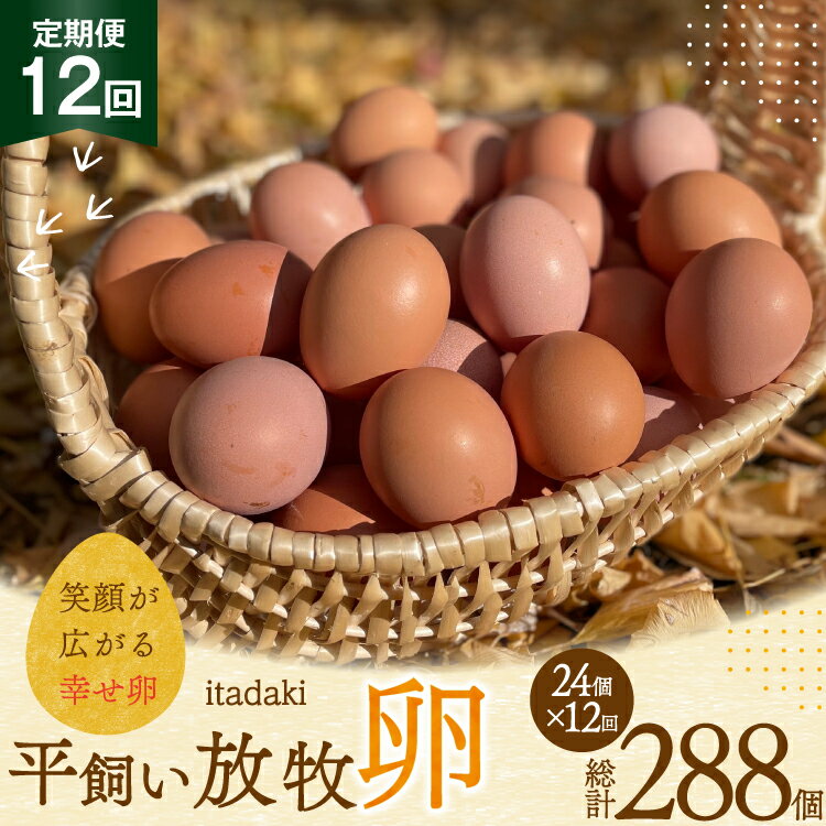 【ふるさと納税】 卵 平飼い たまご タマゴ 玉子 新鮮 12回 定期便 平飼い放牧卵「itadaki」4パック 24..