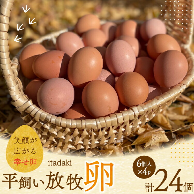 【ふるさと納税】 卵 平飼い たまご タマゴ 玉子 新鮮 平飼い放牧卵「itadaki」4パック 総計24個 [ナチ..