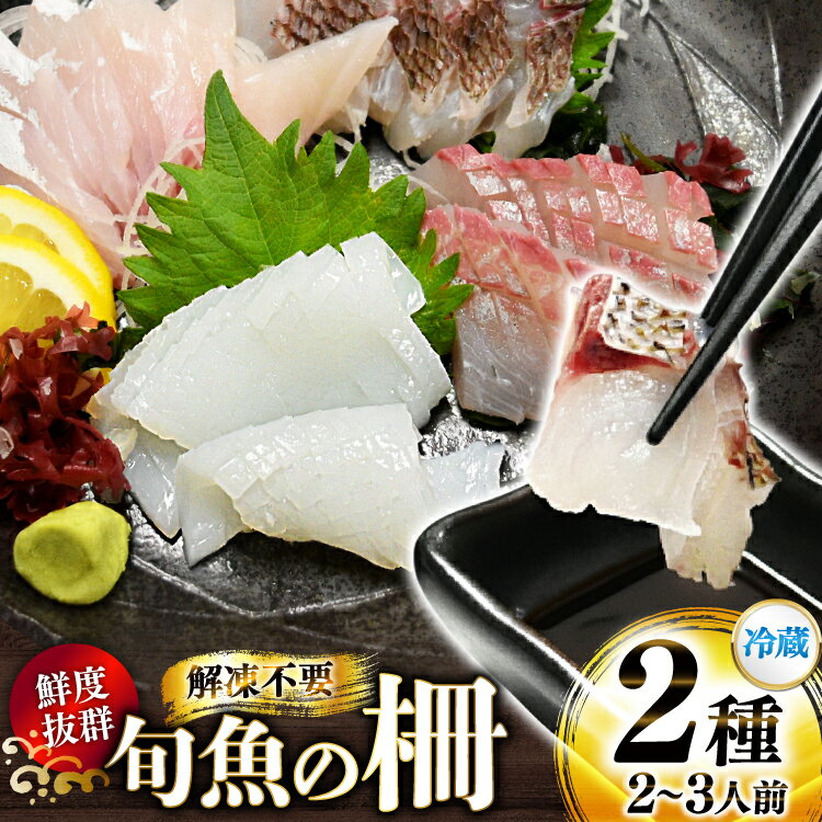 【ふるさと納税】 刺身 鮮魚 旬魚 の柵2種 セット （刺身1種& イカ 1種）（2〜3人前） [舘浦漁業 長崎..