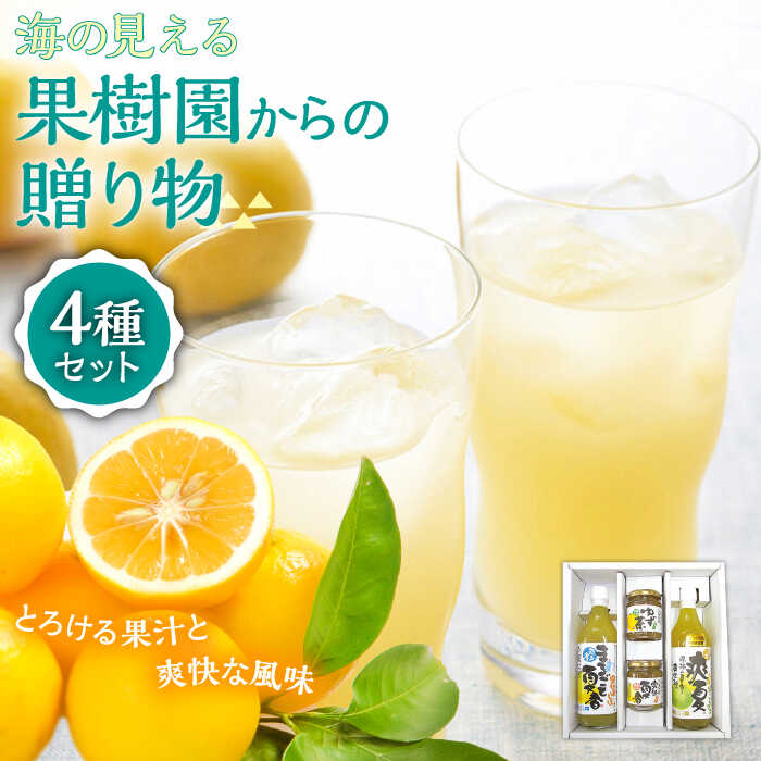 4位! 口コミ数「1件」評価「5」【自家栽培の柑橘のみを使用】海の見える果樹園からの贈り物 4種セット 平戸市 / 善果園 [KAA126] 夏香 ジュース マーマレード マ･･･ 