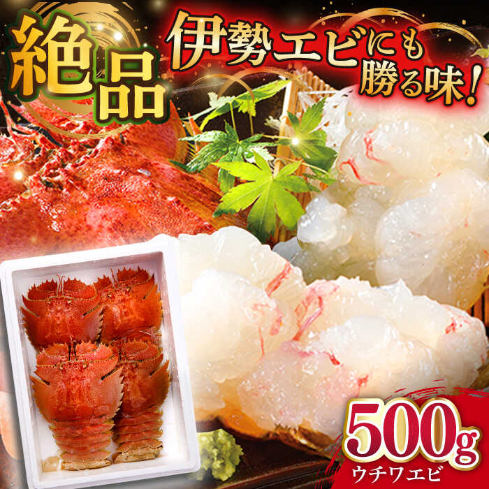 【ふるさと納税】【選べる配送月】平戸 ウチワエビ 三昧 500g【平戸さくら水産】 KAA151