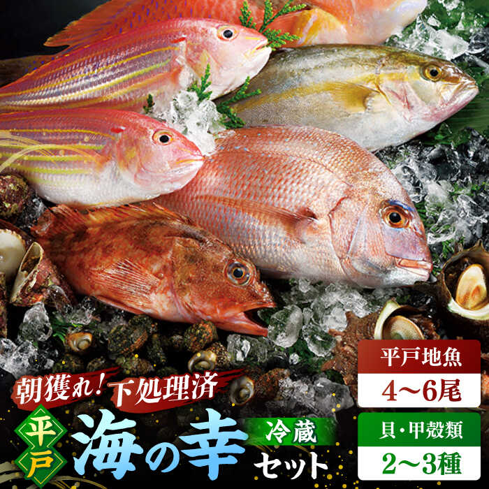 23位! 口コミ数「1件」評価「4」【漁師厳選】朝獲れ！平戸 地魚 詰合せ 4～6尾・貝類甲殻類 2～3種 平戸市 / 平戸瀬戸市場協同組合 [KAA154]　旬 鮮魚 魚 刺･･･ 