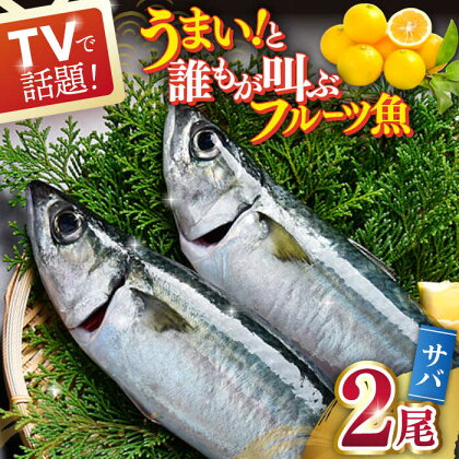 【平戸生まれのブランド魚】平戸なつ香 サバ 約500g×2尾 平戸市 / 坂野水産 [KAA201] 夏香 魚介 海鮮 鮮魚 さば 鯖 新鮮 レシピ付き